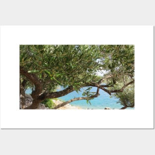 Mediterranean Sea Coast with Olive Tree Photo Posters and Art